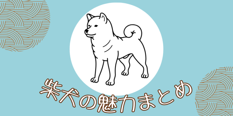 柴犬の魅力まとめ